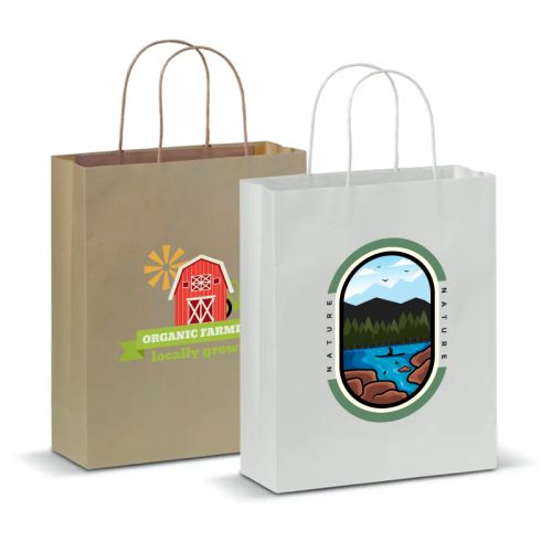 FSC paper bag - M - Image 1