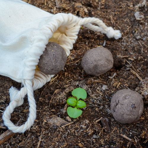 5 seed bombs in bag - Image 3
