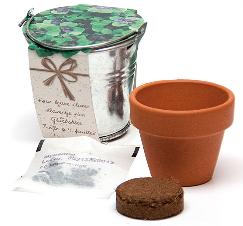 Bucket with flowers | Eco gift